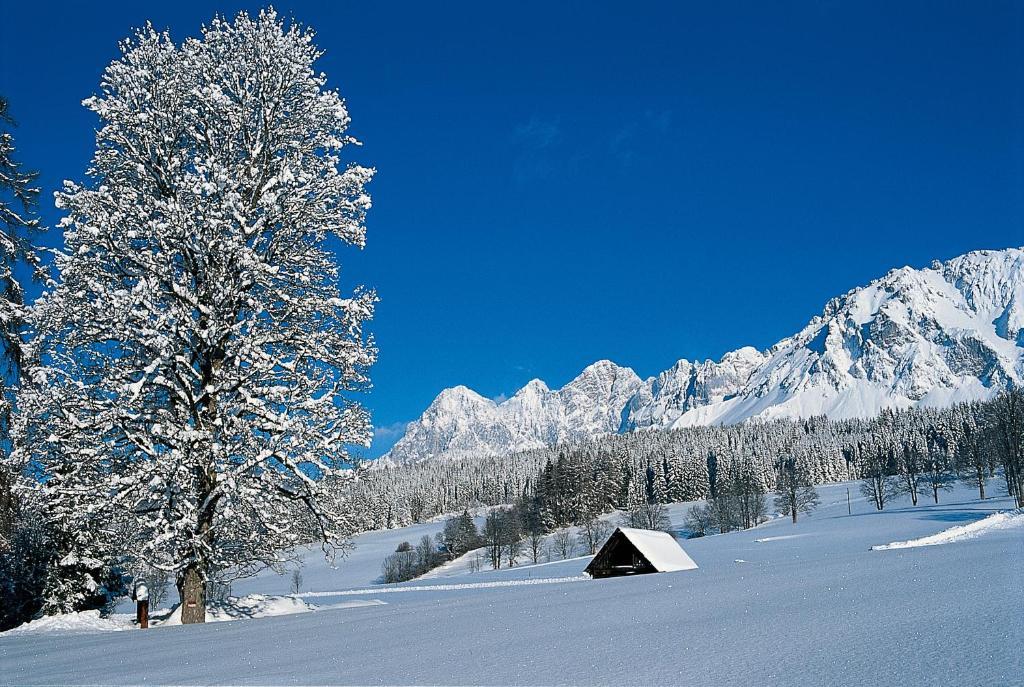 Hotel Jagdhof Ramsau am Dachstein Exterior foto